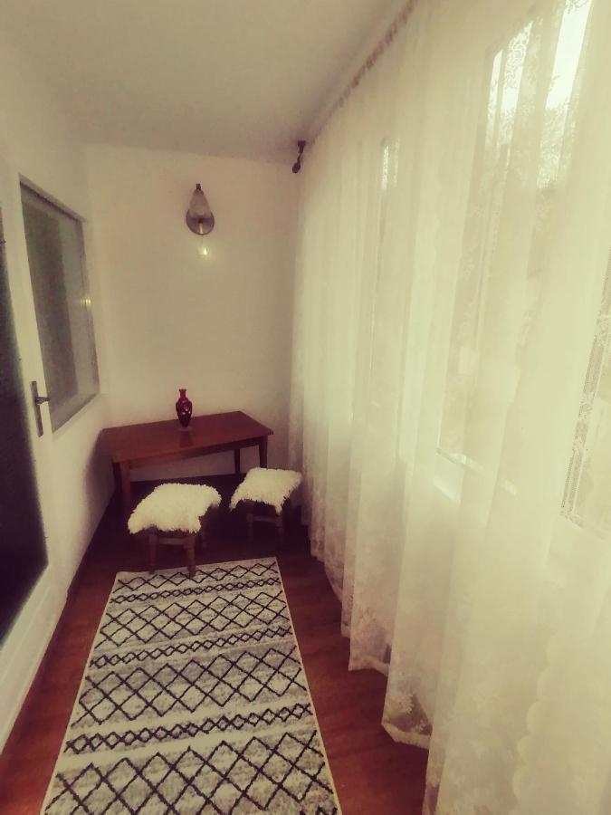 Vila Passiflora Dragoslavele Екстериор снимка
